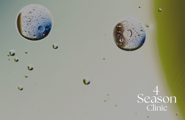 포시즌의원 소노자임