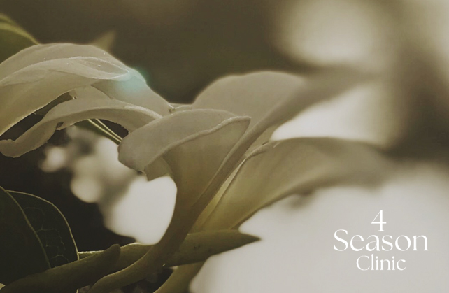 포시즌의원 선불권 멤버십